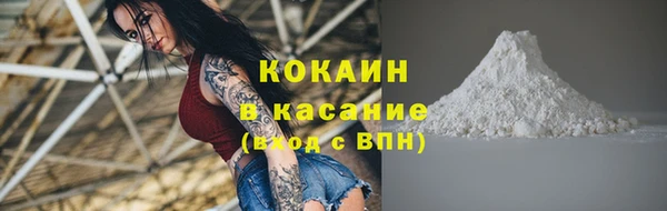 первитин Михайлов