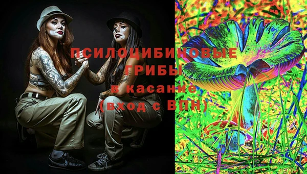apvp Михайловка