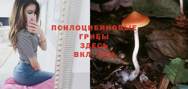 первитин Михайлов