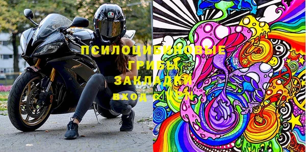 первитин Михайлов