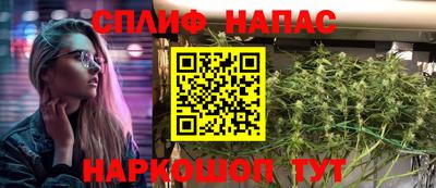 крисы Кунгур