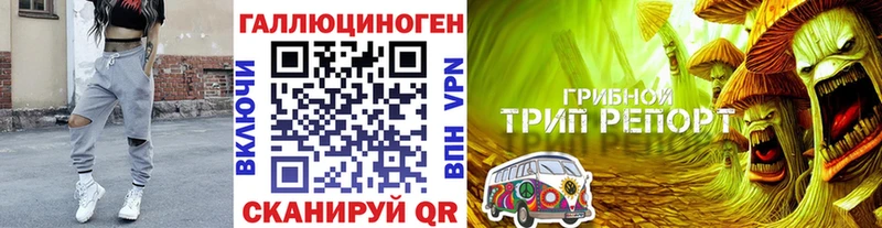 Псилоцибиновые грибы прущие грибы  купить закладку  Салават 