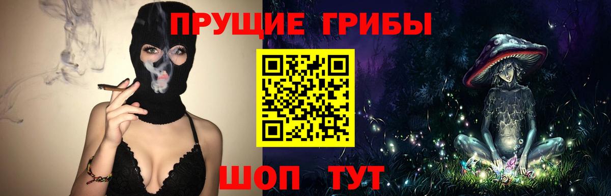 Псилоцибиновые грибы мицелий Салават