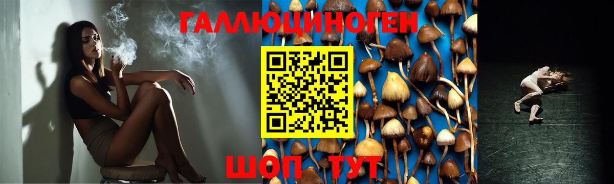 Псилоцибиновые грибы Magic Shrooms Салават